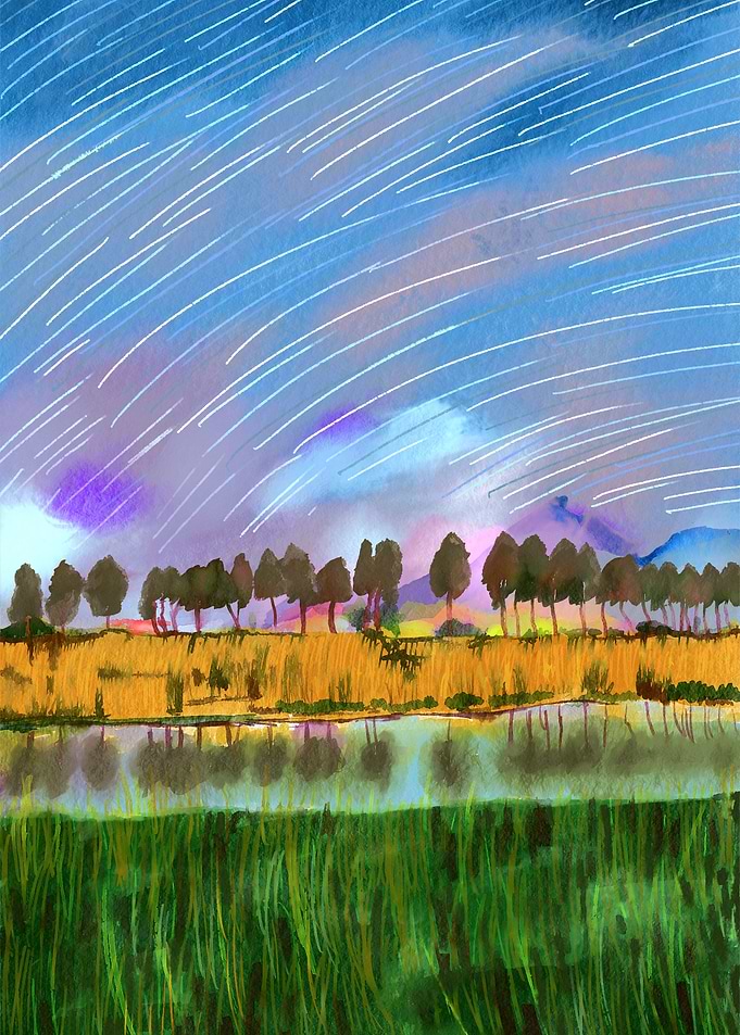 Rural scene star trail