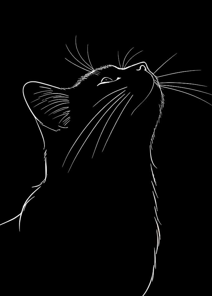 black cat silhouette