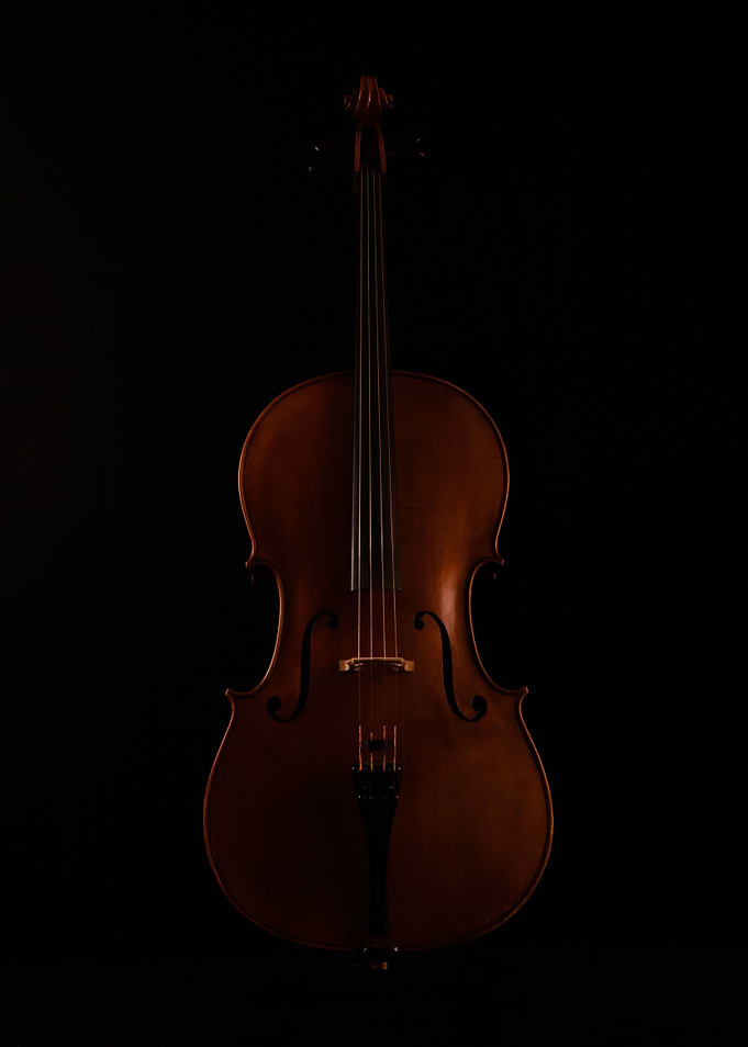 Fiddle