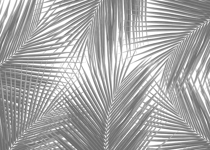 Gray Palm Leaves Finesse 1