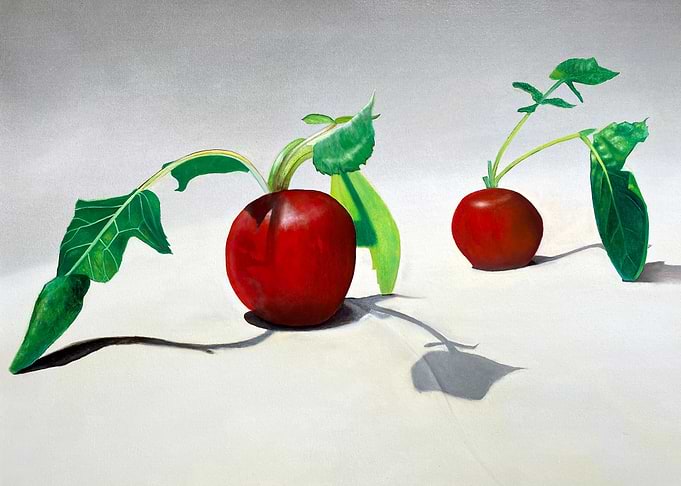 Radishes