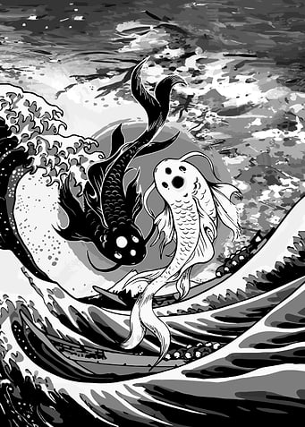 Koi Fish Japan