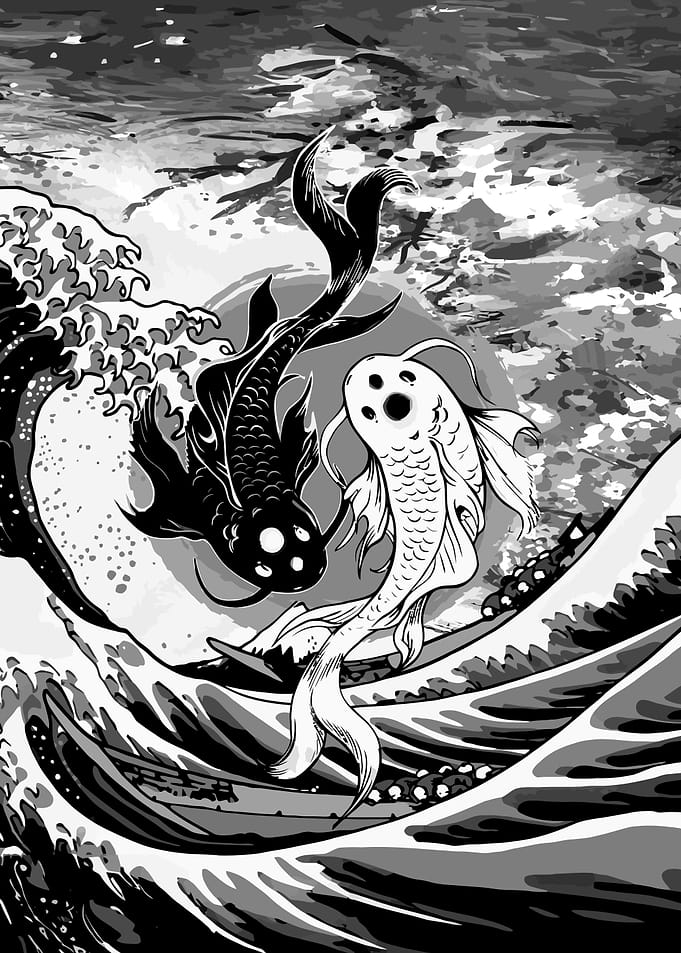 Koi Fish Japan