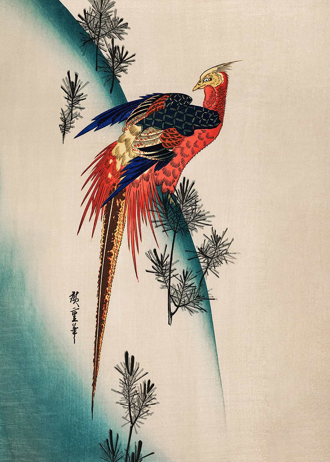 Pheasant and Small Pine