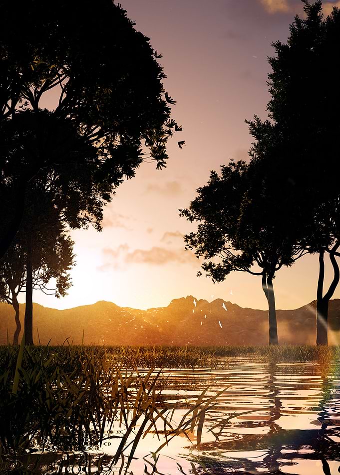 Water Grass