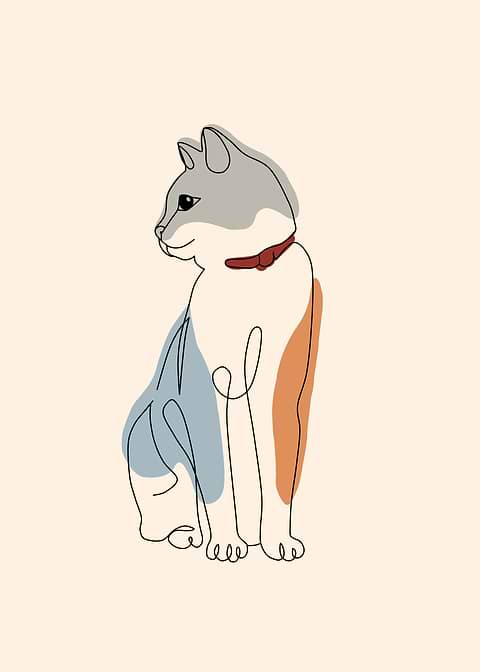 Cute Cat