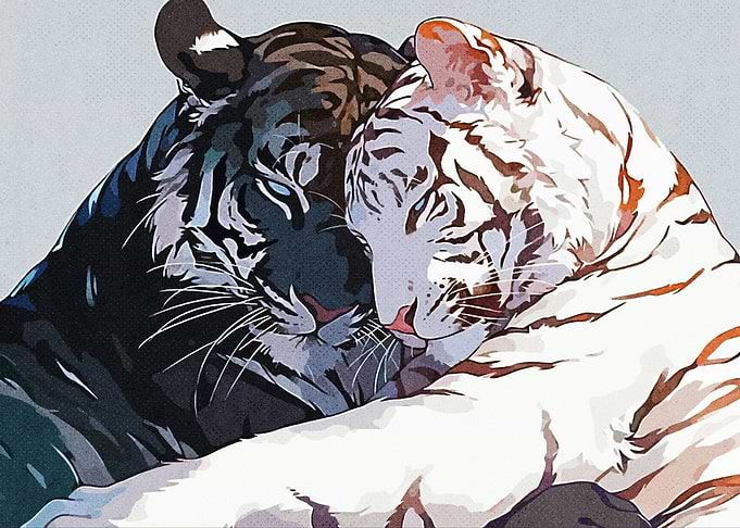 Sweet Tiger