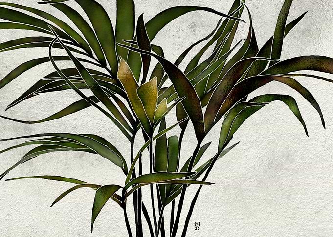Palm