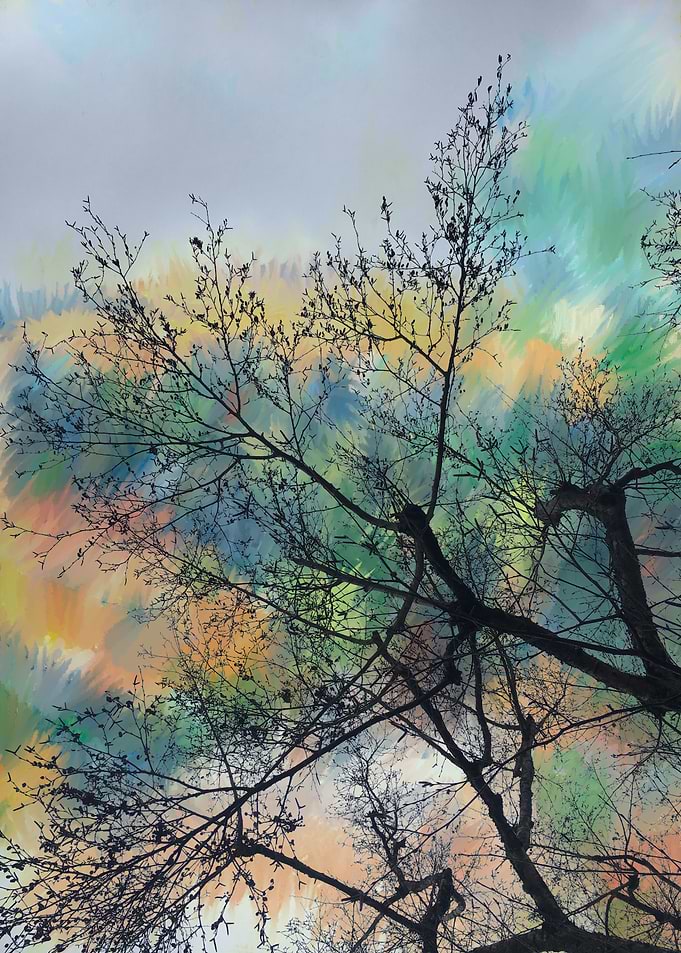 Arbre 053
