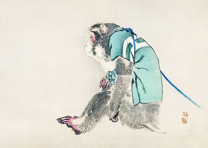 Monkey