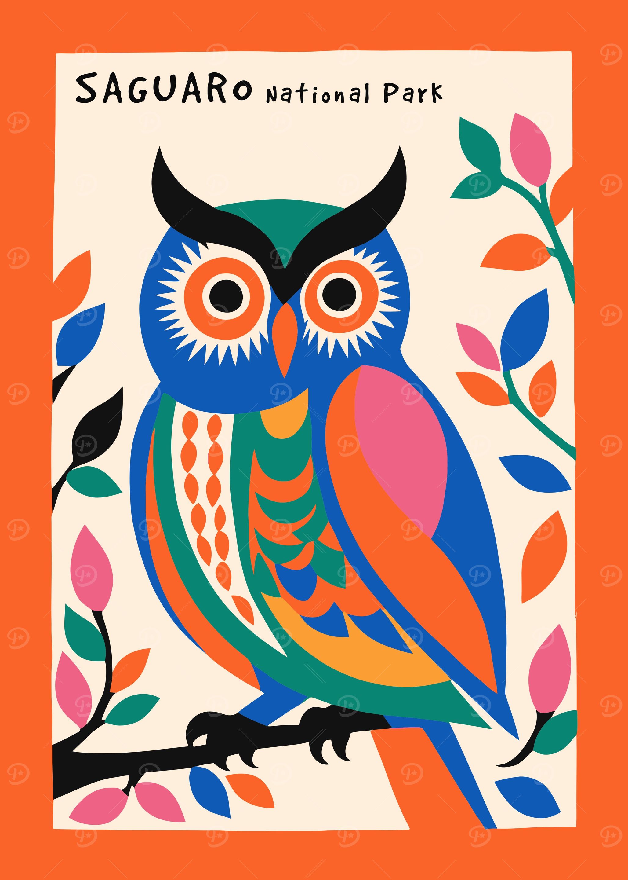 Saguaro National Park Owl