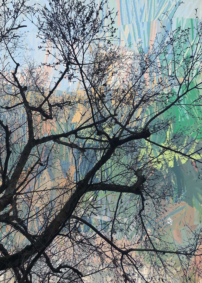 Arbre 051