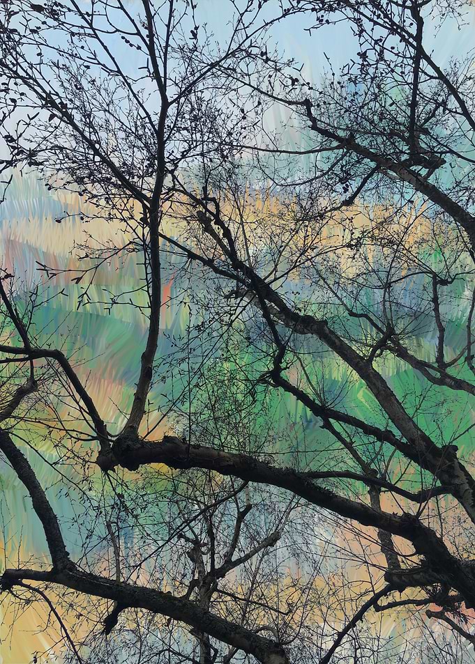 arbre 049