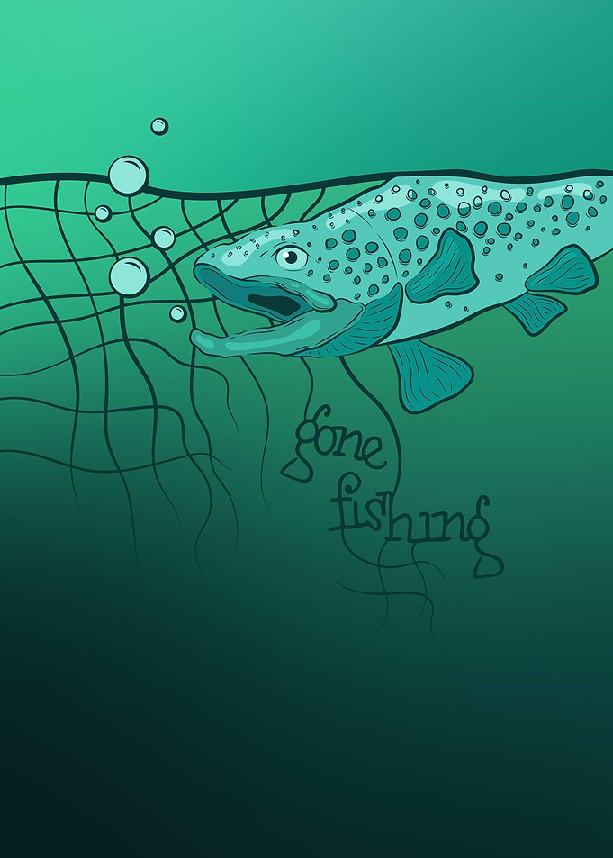 Trout