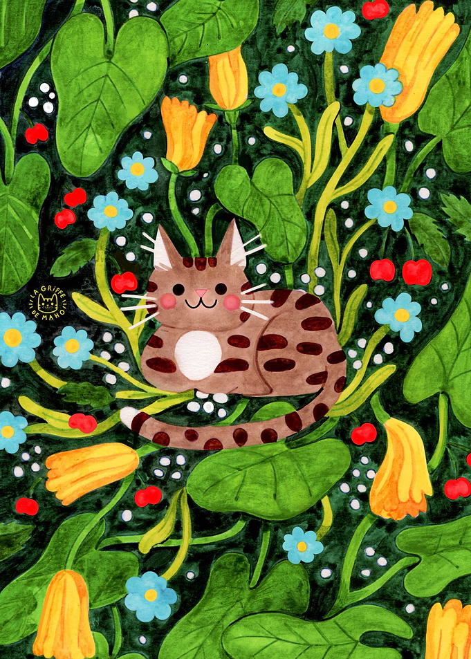 Cat and zucchini flowers