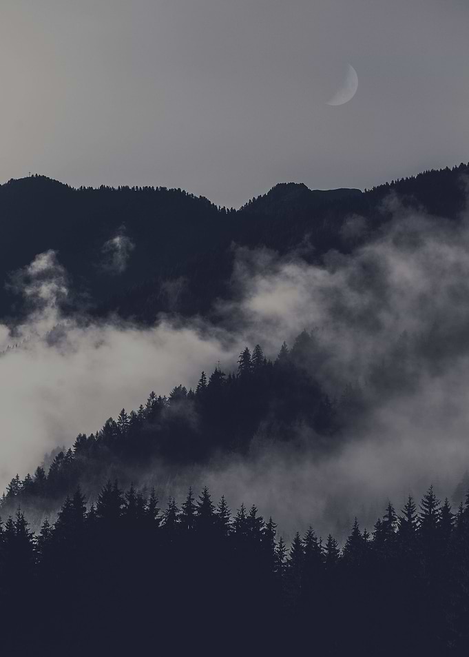 Foggy Peaks