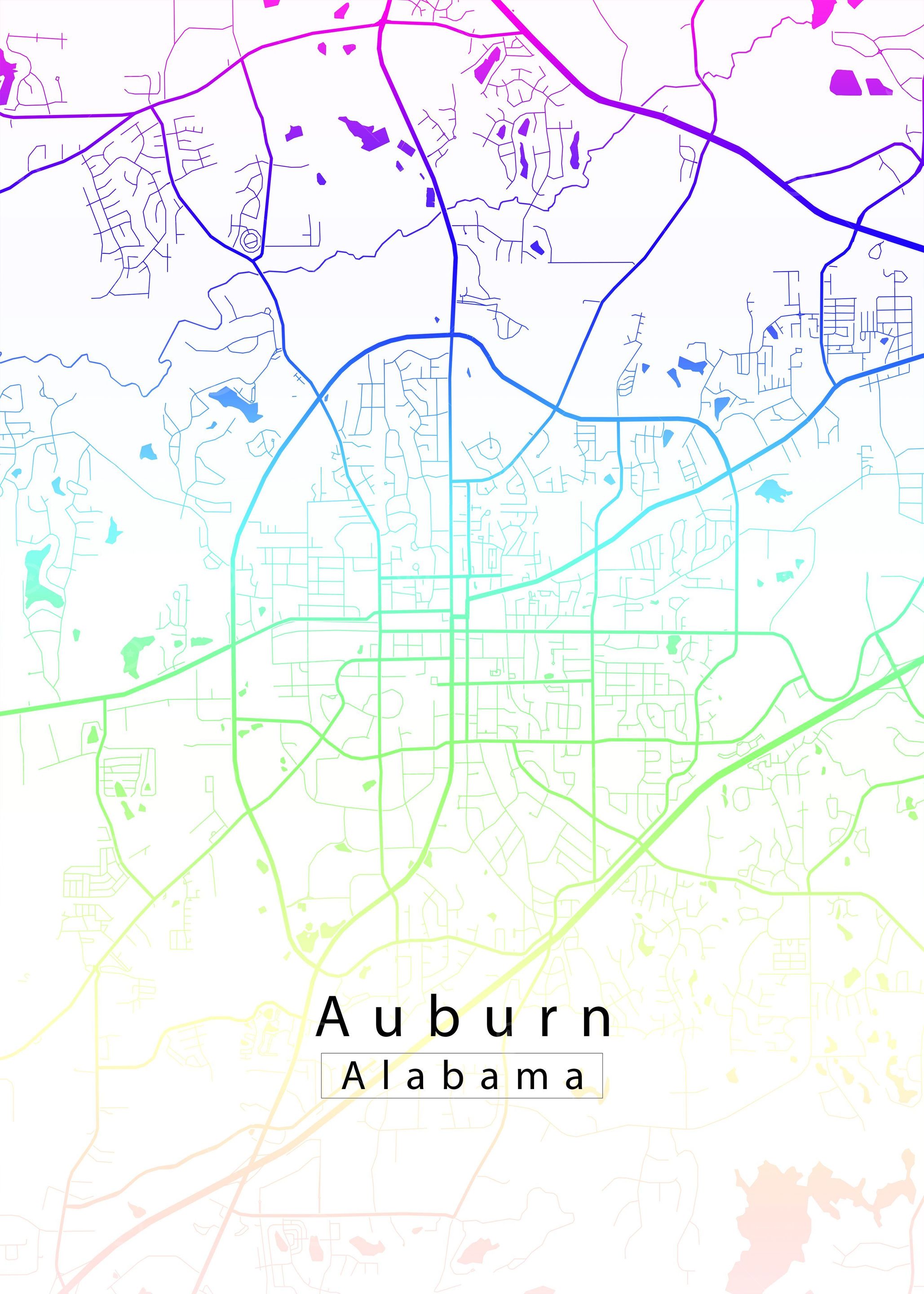 Auburn Alabama City Map