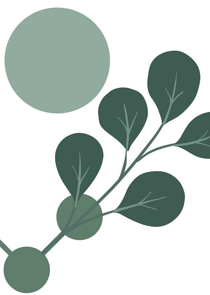 Boho plants monochromatic
