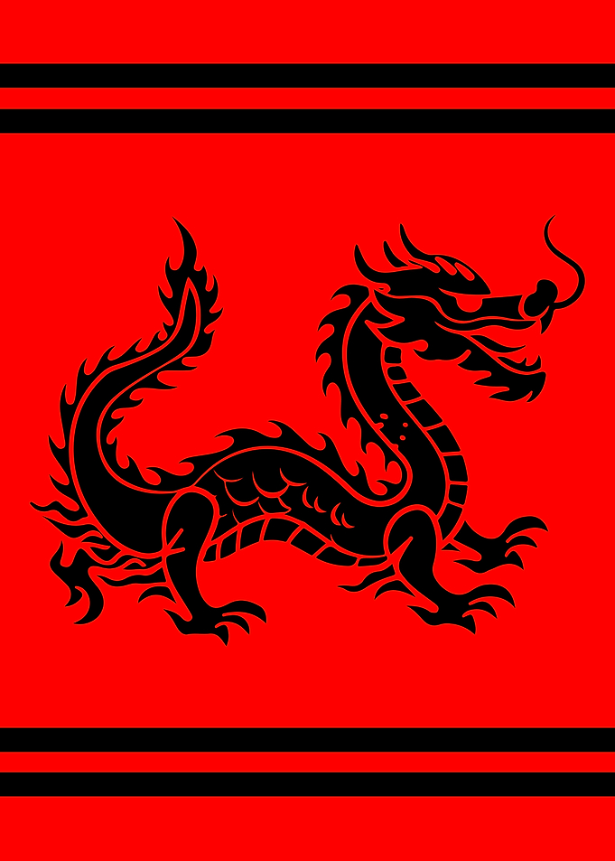 DRAGON 006
