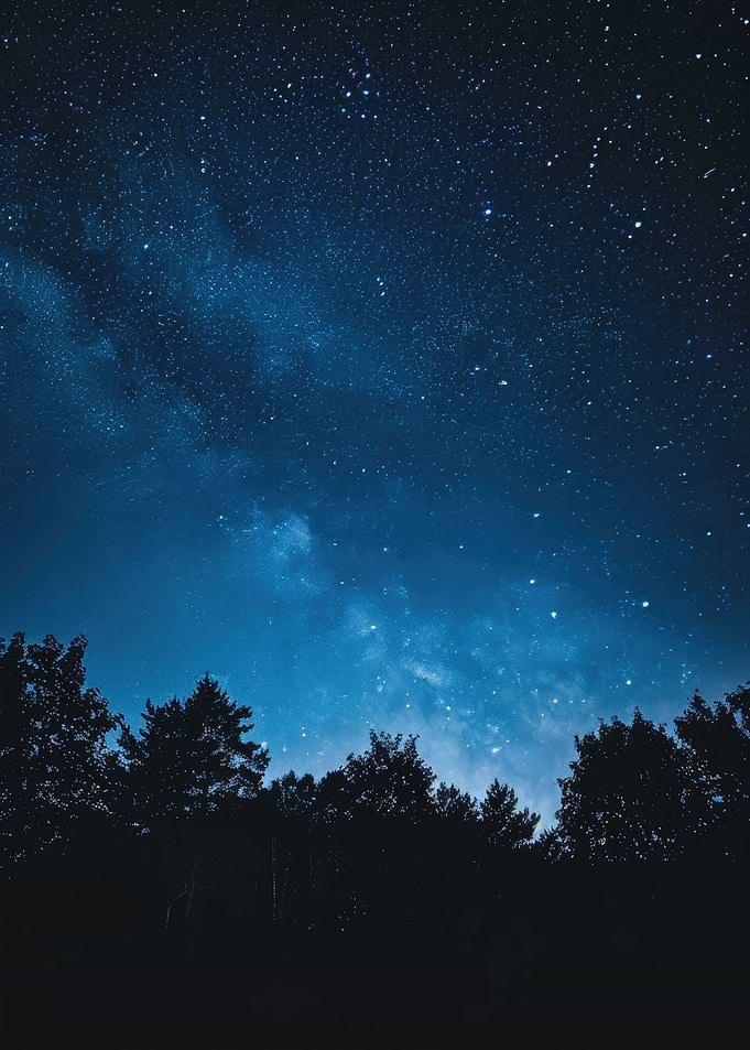 Starry Forest Night