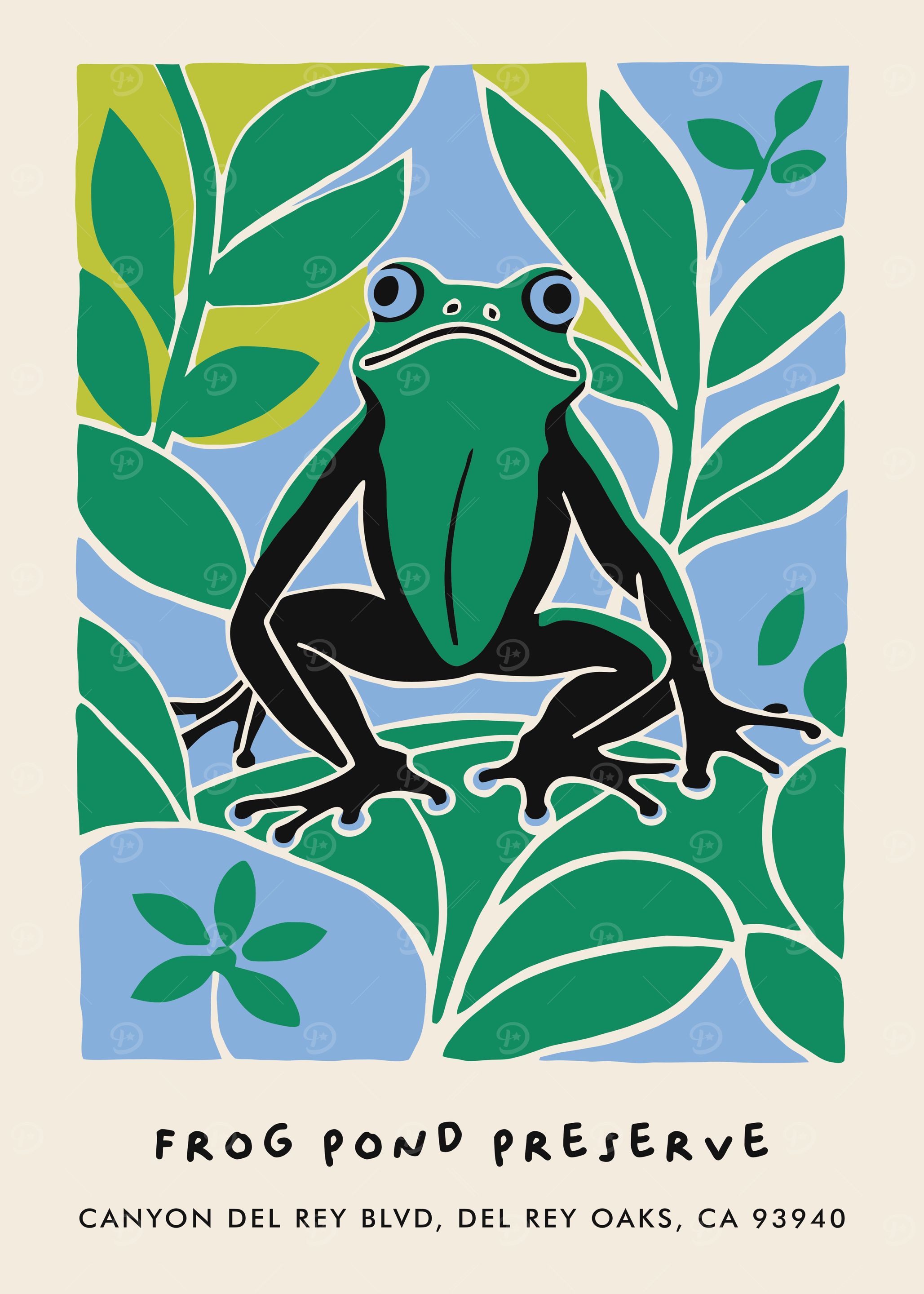Cute Frog Preserve CA