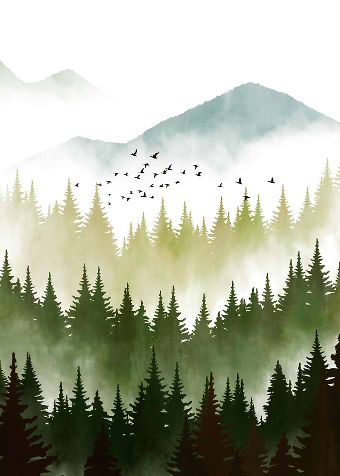 Pine Forest
