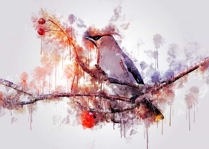 Bird on Branch fruit