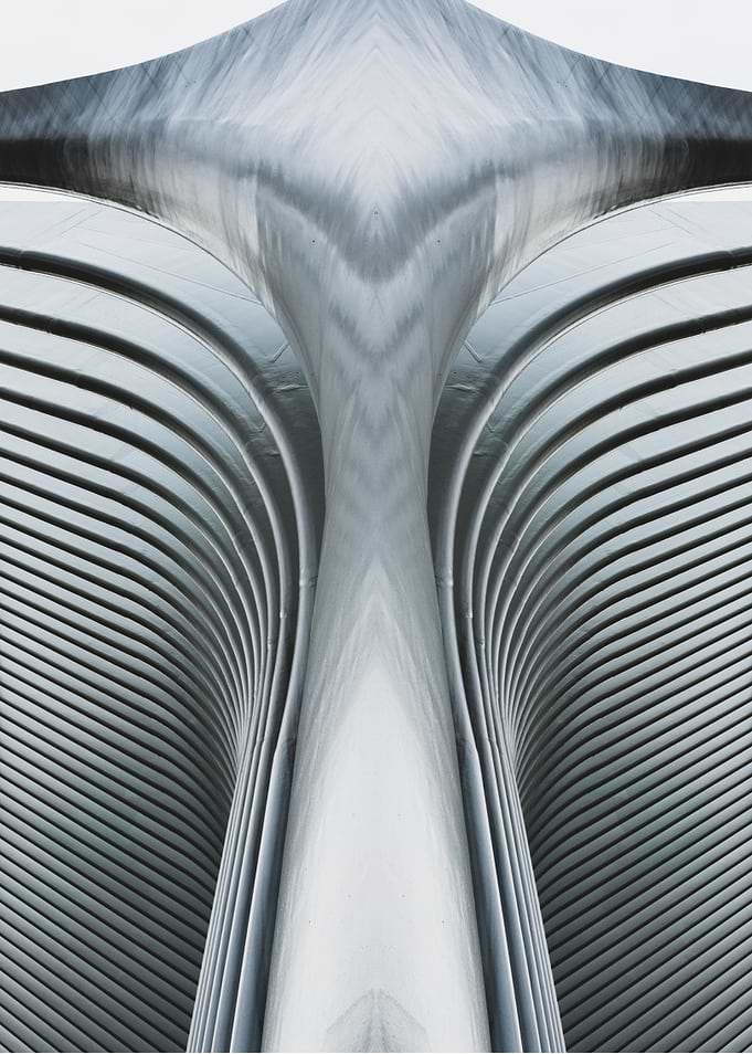 Symmetrical Ribs 6