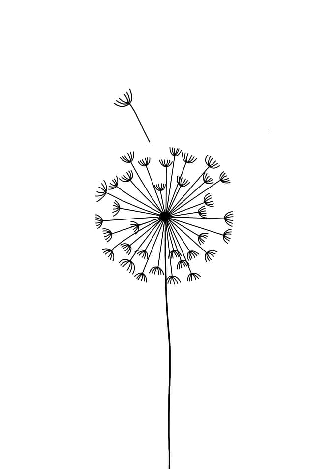 Dandelion