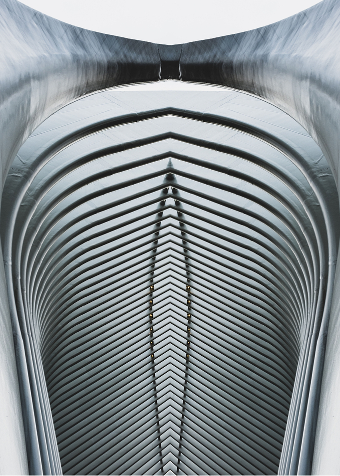 Symmetrical Ribs 5
