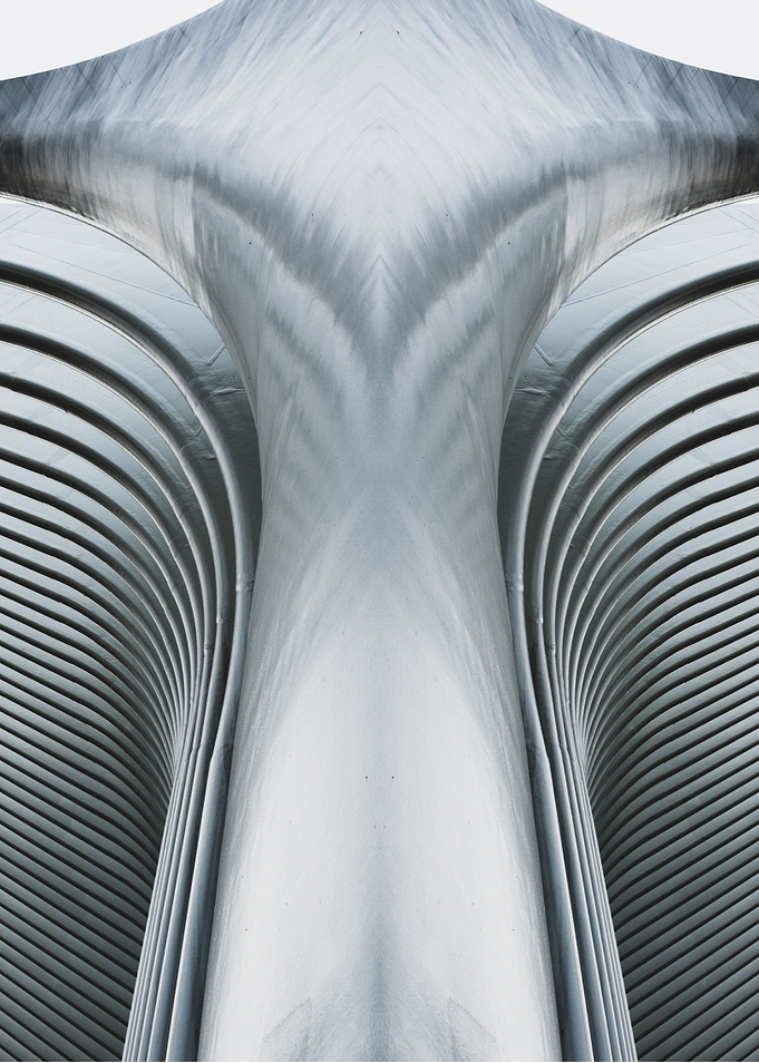 Symmetrical Ribs 7