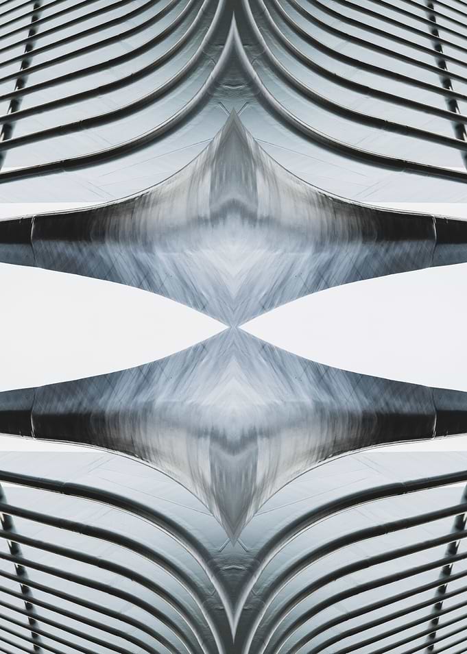 Symmetrical Ribs 1