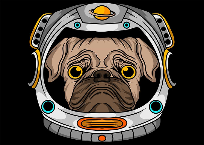 Dog Helmet Astronaut