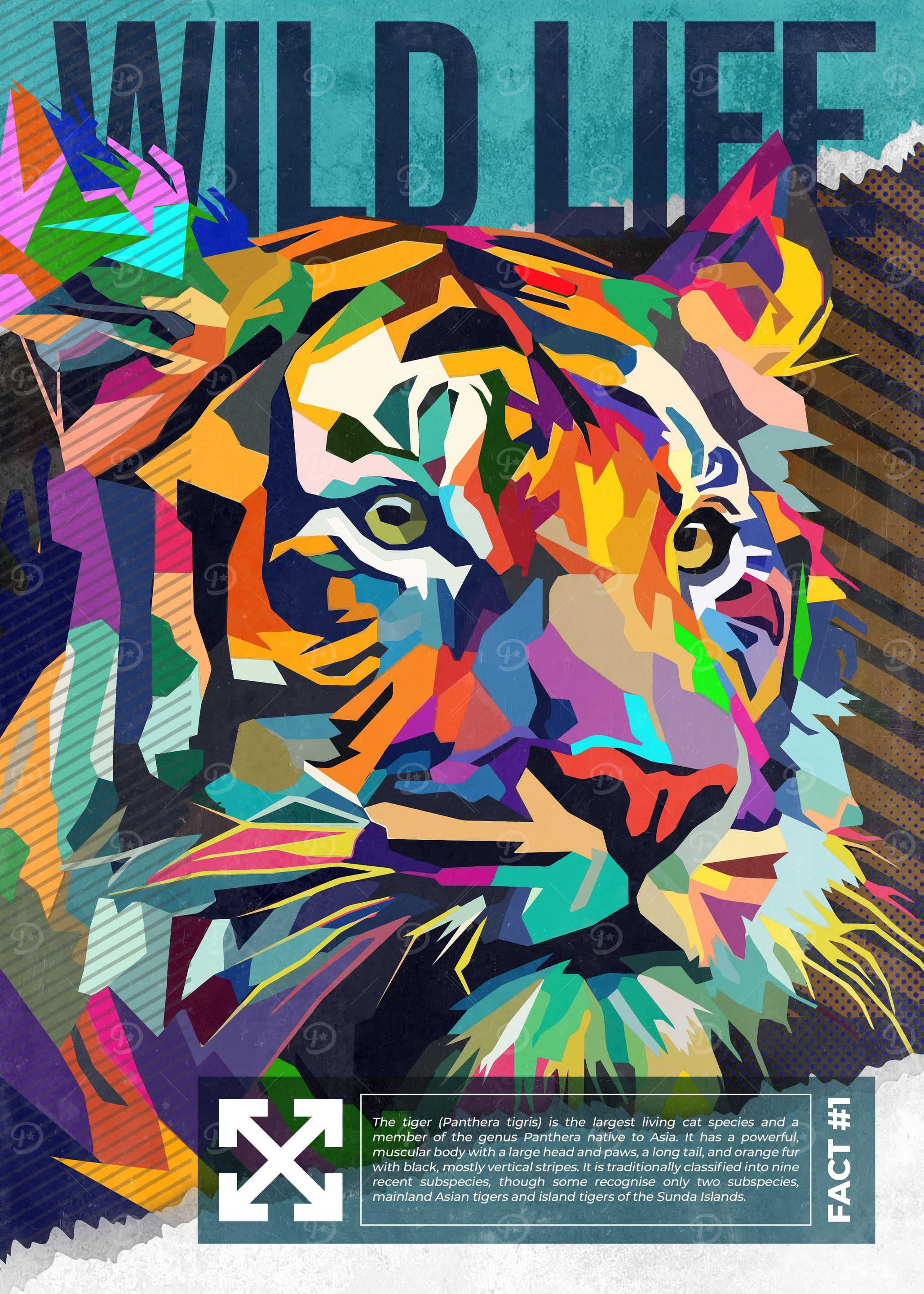 THE TIGER