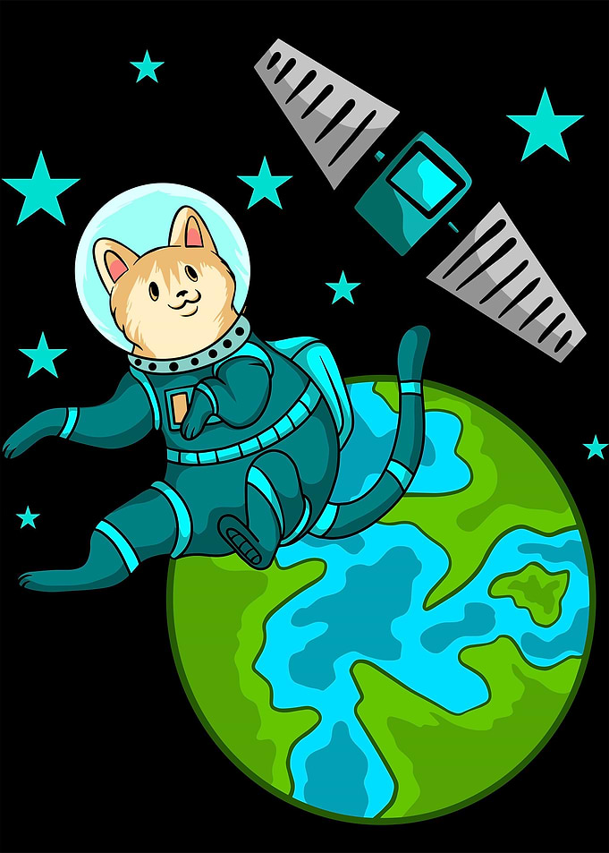 Animal Space