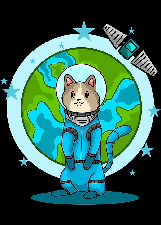 Earth And Astronaut Cat