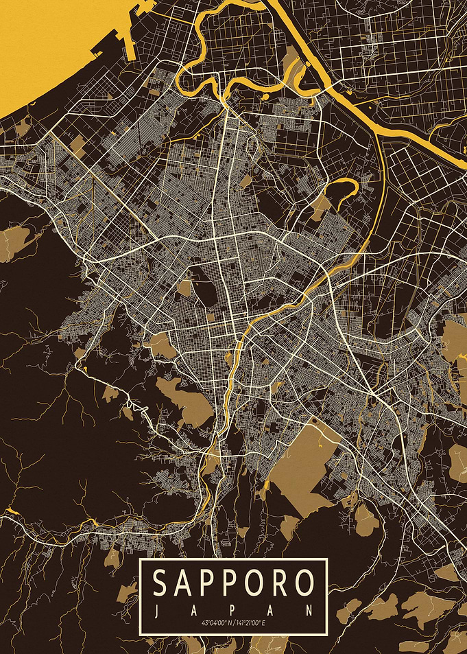 Sapporo City Map Pastel
