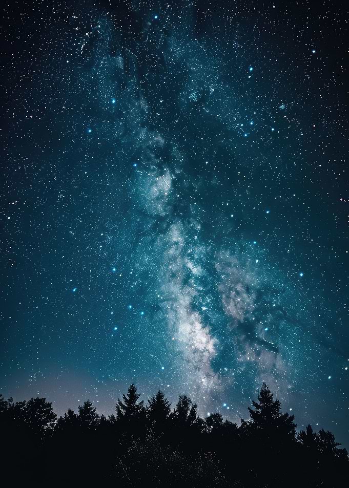 Forest under the stars