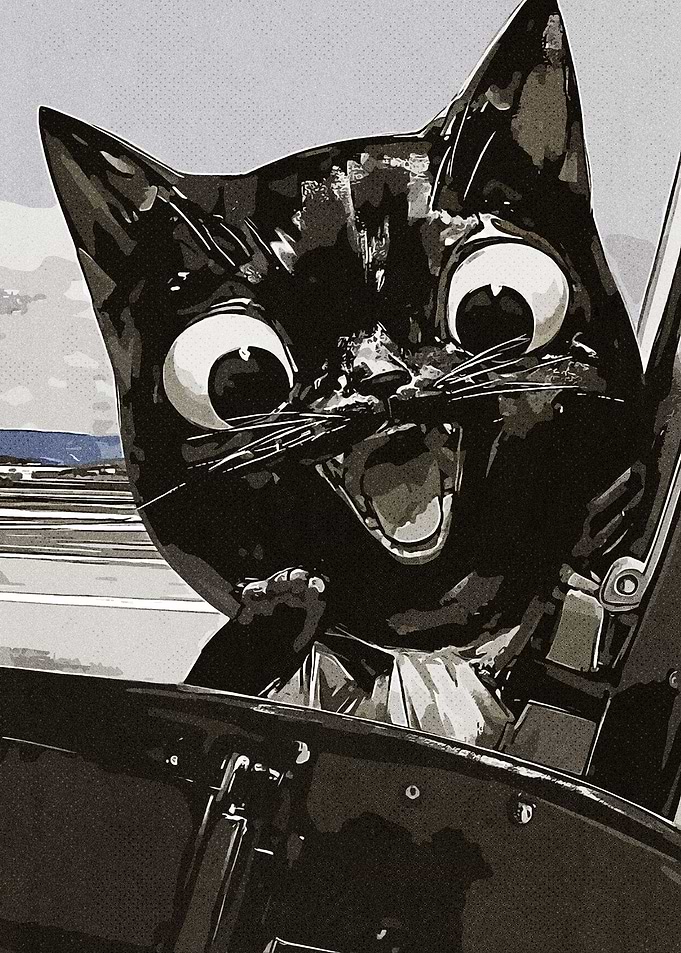 Meme Black Cat