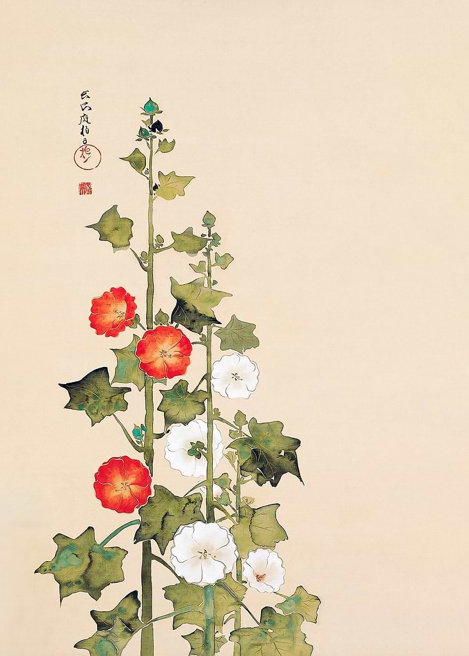 Japanese hollyhock flowers
