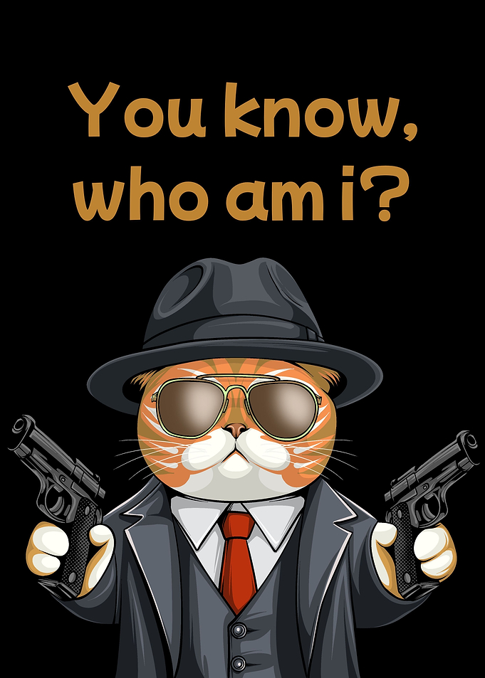Gangsta of Orange Cat