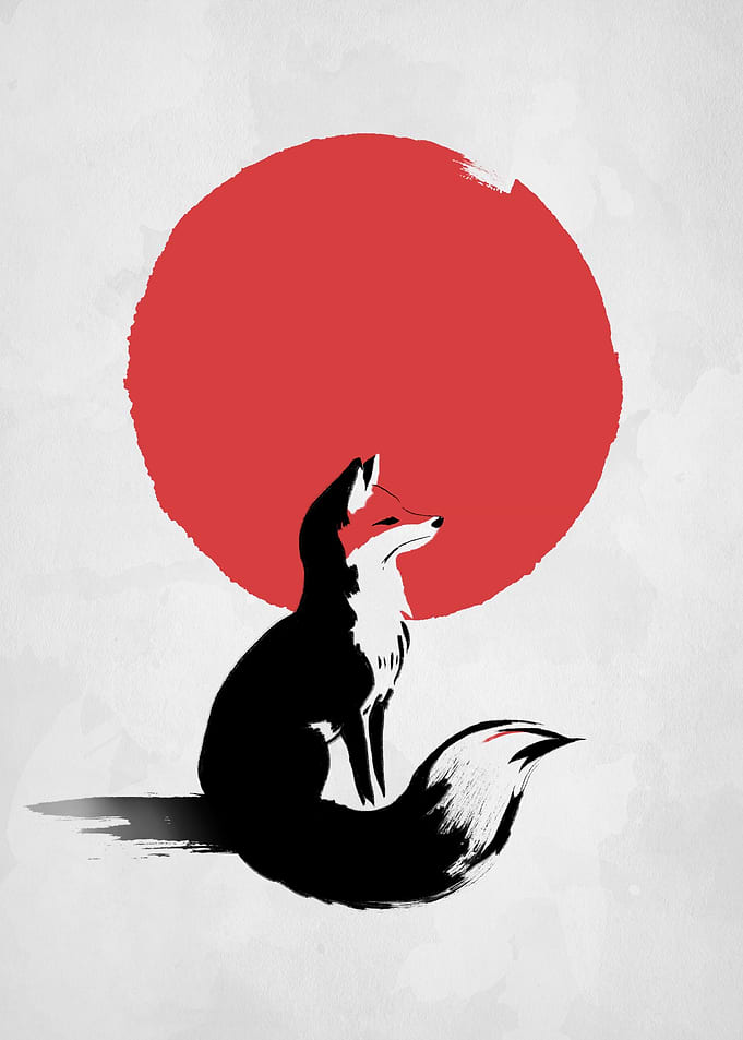 Red fox under the sun