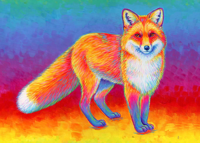 Rainbow Red Fox
