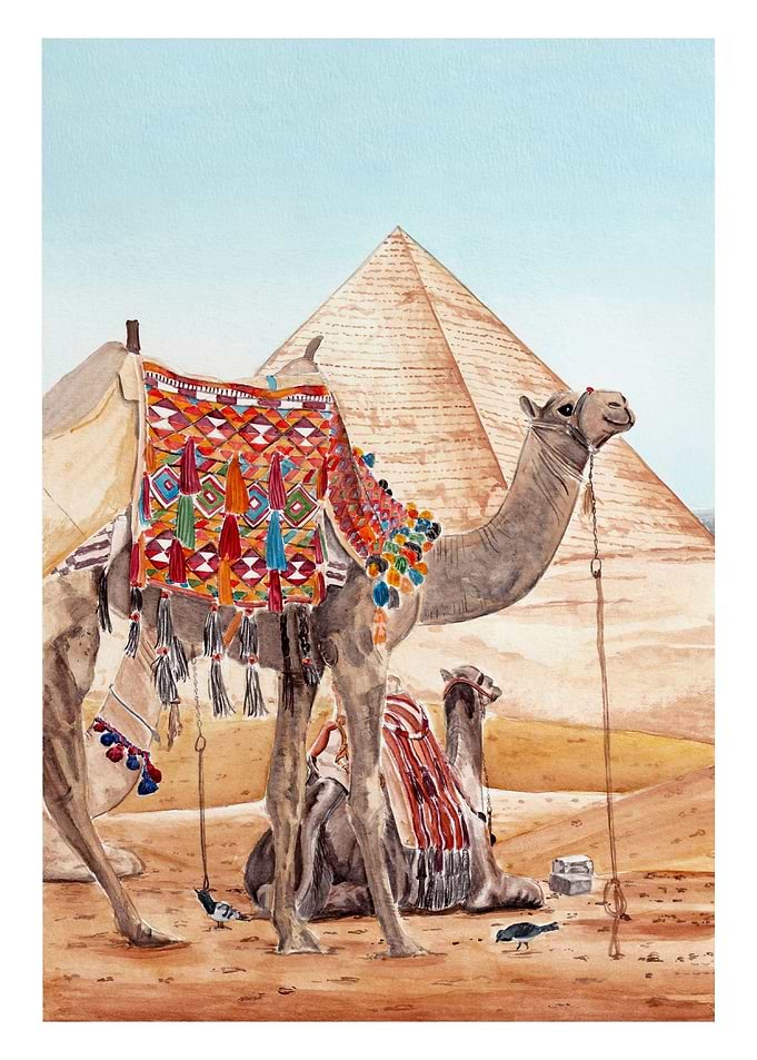 Egypt Pyramids