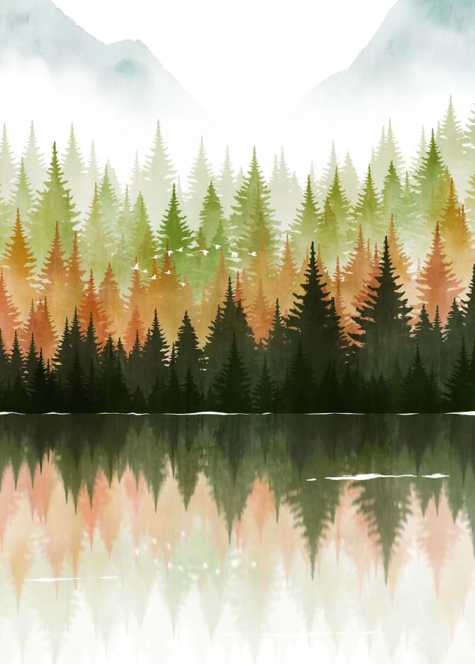 Pine Forest