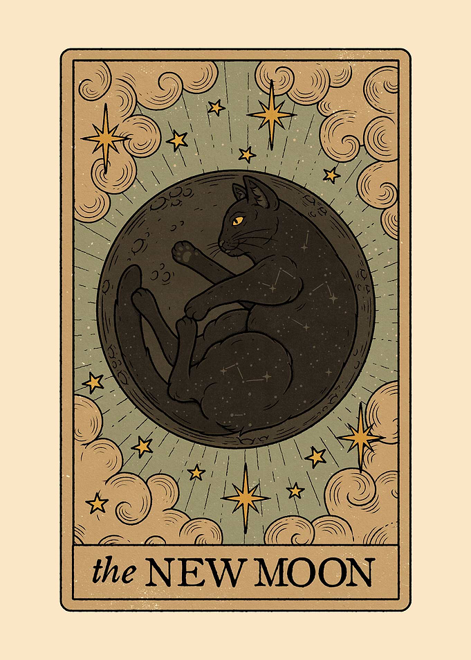 The New Moon Lunar Cats