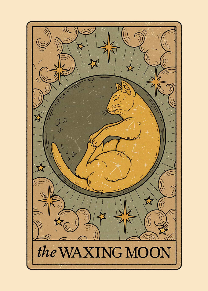 The Waxing Moon Lunar Cats