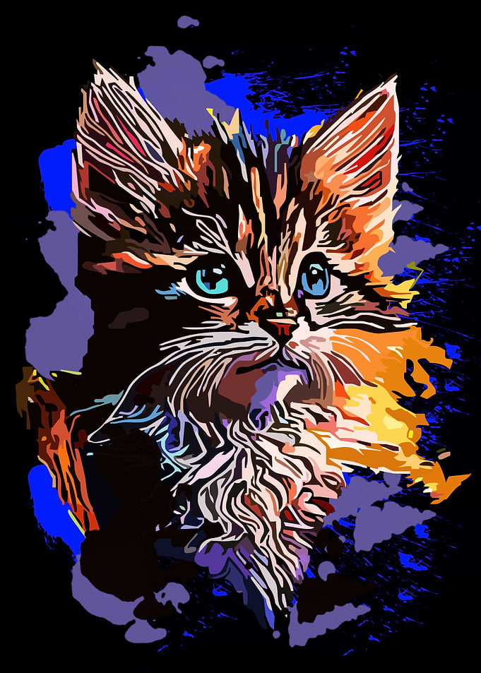 Cat Animals 36