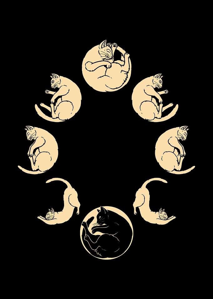 Meow Cycle