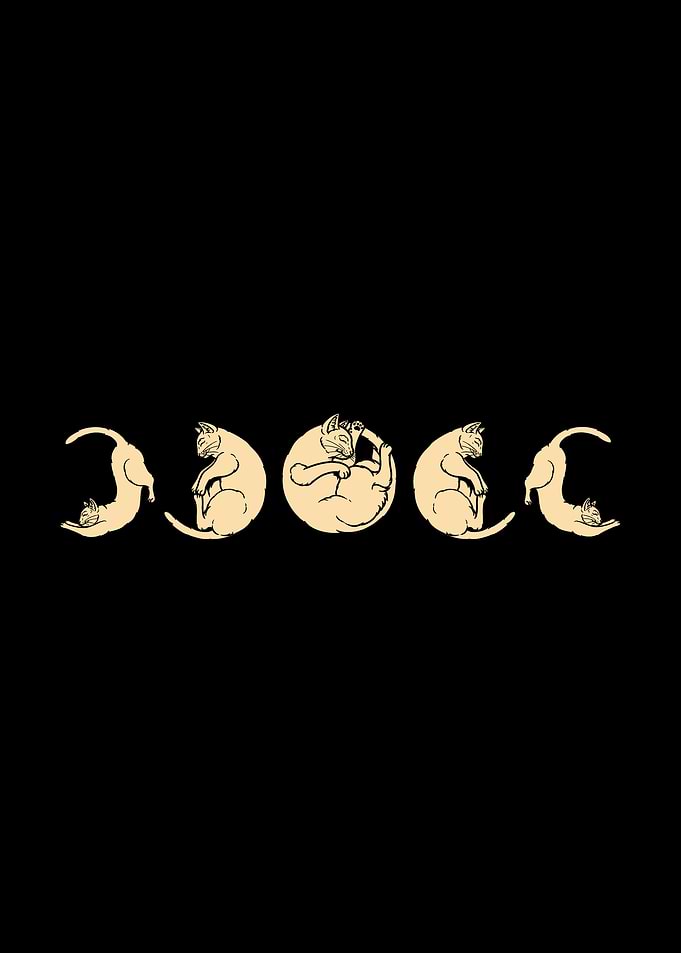 Meow Phases